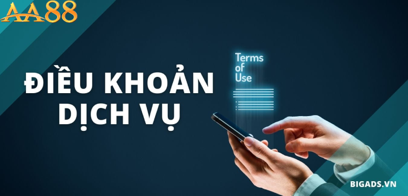 Các nội dung cơ bản trong điều khoản dịch vụ aa88