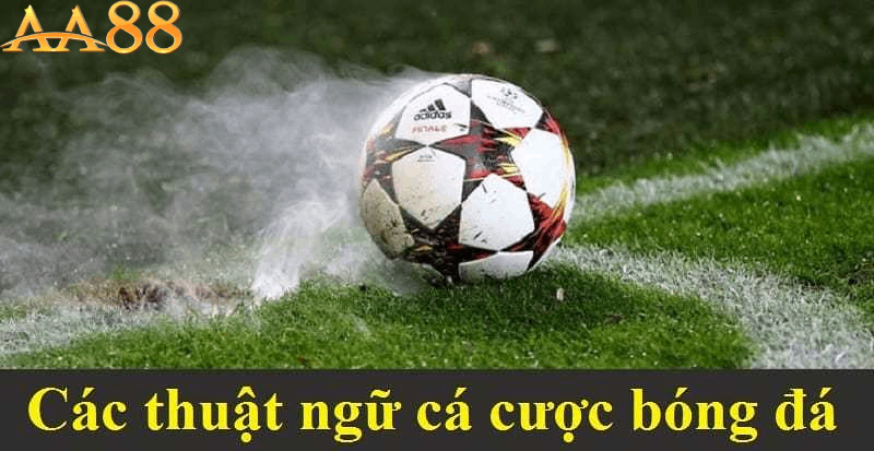 Tỷ lệ cá cược bóng đá là gì?
